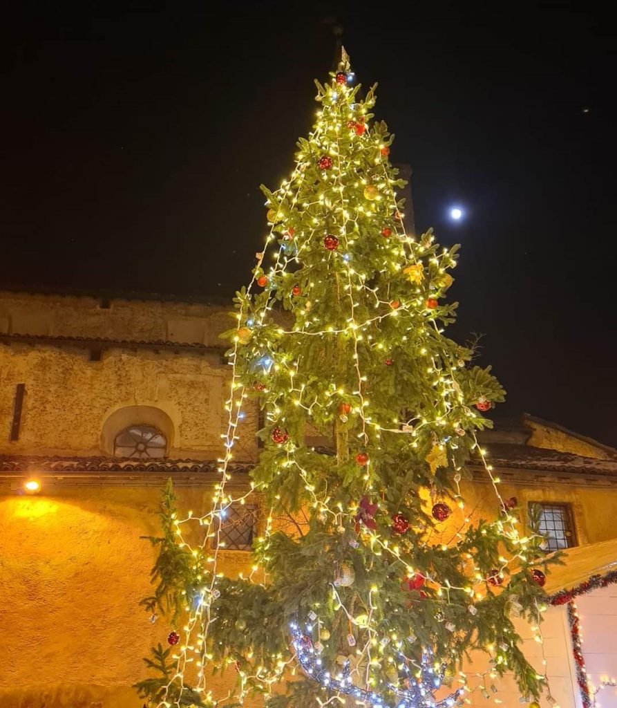 Dilemma natalizio: albero o presepe? Le tradizioni dell'8 dicembre -  TerranostraNews